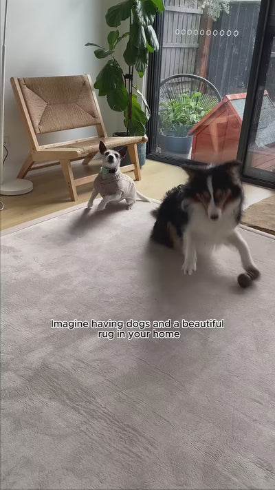 two dogs playing with toys on a mat